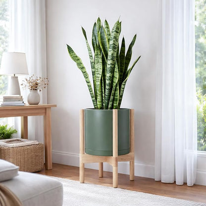 D'vine Dev Plastic Pot with Natural Wood Stand, Olive, 10 in, 55-C-M-3 | Mid-Century Inspired Design, Elevated Plant Display, Clean Lines, Sturdy Support, Modern Space-Saving Style