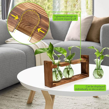 Plant Propagation Station Plant Terrarium Unique Birthday Gifts for Women | Plant Lovers Home Office Decor Planter with Wooden Stand - 3 Bulb Glass Vase