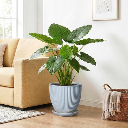10 Inch Pots for Plants, Ceramic Plant Pots with Drainage Hole and Saucer, Modern Flower Pots for Indoor Plants, Decorative Large Planter, Entryway Decor, Gardening Gifts, Light Blue