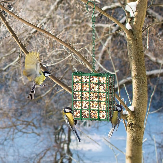 Bird Feeder for Outdoors, Suet Feeder for Outside Hanging Suet Basket Cage | Adjustable Chain Hanging for Garden Yard Outside - Suet Cake Feeders Squirrel Proof birdfeeder