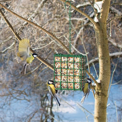 Bird Feeder for Outdoors, Suet Feeder for Outside Hanging Suet Basket Cage | Adjustable Chain Hanging for Garden Yard Outside - Suet Cake Feeders Squirrel Proof birdfeeder