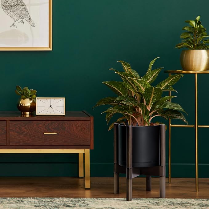 D'vine Dev Plastic Pot with Walnut Wood Stand, Black, 8 in, 55-C-I-2 | Mid-Century Inspired Design, Elevated Plant Display, Clean Lines, Sturdy Support, Modern Space-Saving Style