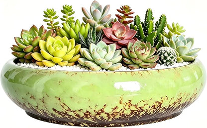 Succulent Pots, 10 Inch, Shallow Planter with Drainage for Succulent Planters, Bonsai Pots & Cactus Pots, Plant Pots, Ceramic Planters for Indoor Plants - Perfect for Home Offie Garden Decor, Green