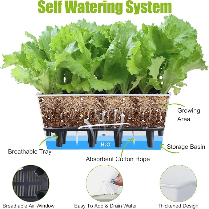 Window Box Planter 6 Pcs, 16.5 Inches Self Watering Rectangle Flower Plant Pots with Drainage Holes Trays, Vegetable Planters for Windowsill Patio Garden Balcony Porch Yard (White)