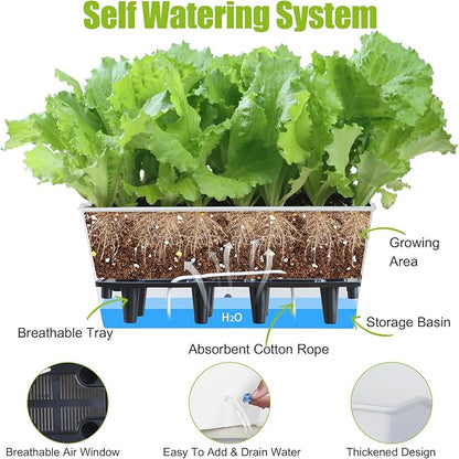 Window Box Planter 6 Pcs, 16.5 Inches Self Watering Rectangle Flower Plant Pots with Drainage Holes Trays, Vegetable Planters for Windowsill Patio Garden Balcony Porch Yard (White)