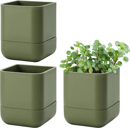 Phoenix Vine 4.5 Inch Wall Mounted Self-Watering Planter Pot for Indoor Houseplants and Herbs | Hanging Planter for Window Sills, Bathroom Walls, Home & Office Décor, Olive, Set of 3, 01-B-F-3