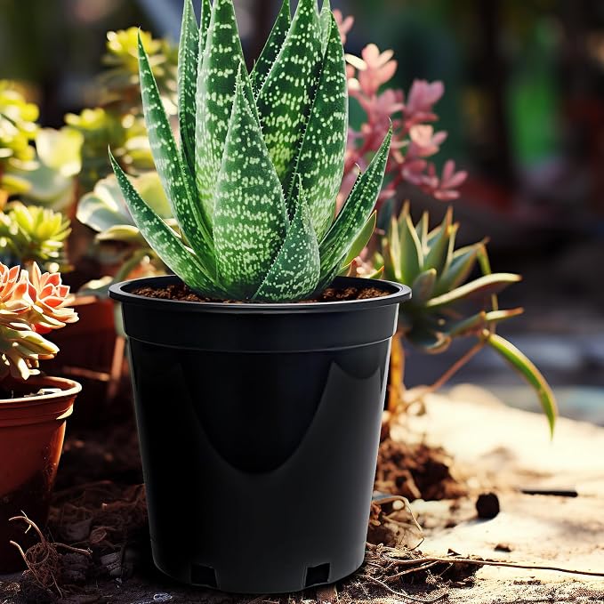 RooTrimmer 1.5 Gallon Plastic Nursery Pots, 7.5 Inch Round Plant Pots with Drainage Holes, 15 Pack Flower Pots for Outdoor Indoor Plants, Flowers, Gardening Gifts for Women, Black