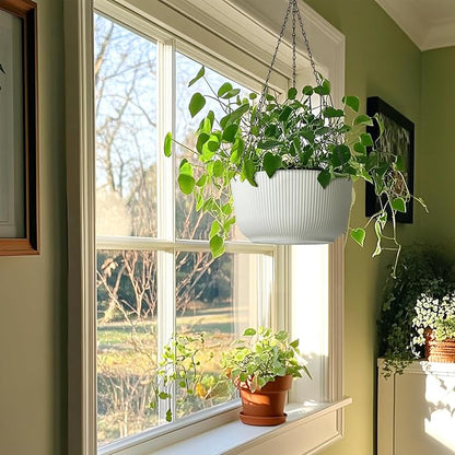 T4U 12 Inch Large Hanging Planters for Indoor Plants, 2 Pack Self Watering Pots Indoor, Hanging Baskets for Plants,Hanging Flower Pot with Drainage Hole and Plant Hanger, White