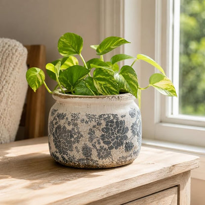 Dosayes Large Ceramic Pot for Planters, Ice Crack Glazed Flower Pot with Drainage Holes,5.91inch Vintage Planters for Indoor and Outdoor (Gray)