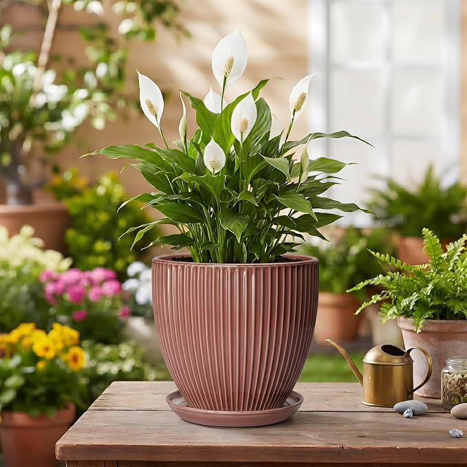 Ceramic Pots for Plants 6 Inch, Ceramic Plant Pots Indoor with Drainage Hole and Saucer, Modern Flower Pot, Round Decorative Planter, Living Room Home Decor, House Warming Gifts, Rust Red