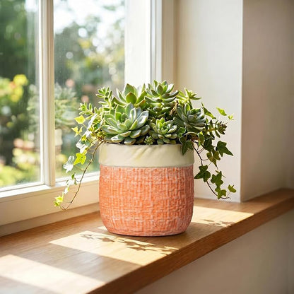 Ceramic Pots for Plants, 6 Inch Planter, Round Plant Pot, Orange | Boho Plant Pot for Indoor Plants, Decorative Flower Pots with Drainage Hole, Bedroom Decor, Housewarming Gifts New Home
