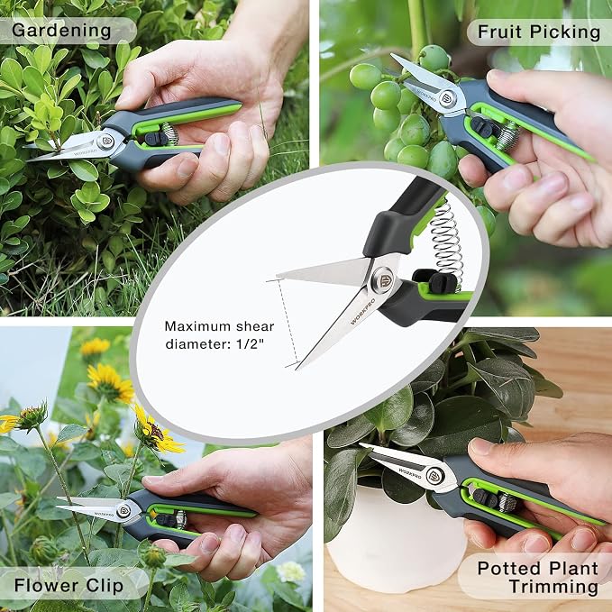 WORKPRO 2 Pack Garden Pruning Shears with Sheath, 6.5” Small Hand Pruners/Snips/Clippers- Spring Loaded & Precision Straight Blades, Microgreen Trimming Scissors for Flowers, Weeds, Indoors Bonsai | Sharp Straight Blades, Spring Loaded Design, Precisio...