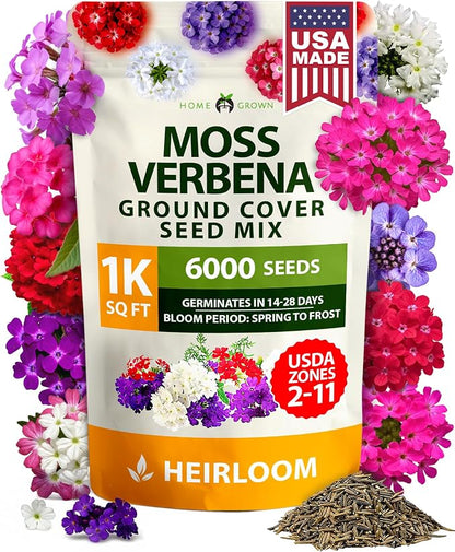 HOME GROWN Verbena Moss Seeds - 6000+ Perennial Flower Seeds for Ground Cover - Heat-Tolerant Plant Seed for Outdoor Gardening, Walkways & Erosion Control - Attracts Pollinators (Verbena Tenuisecta)
