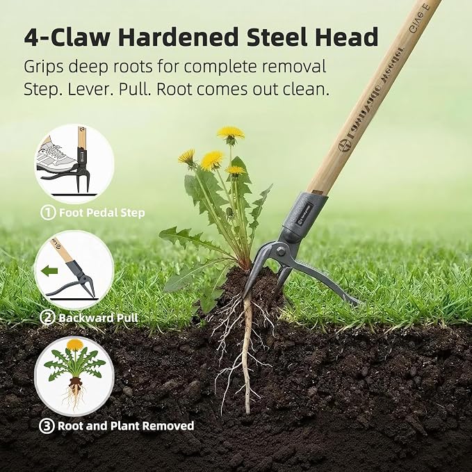 Stand Up Weed Puller Tool, Long Handle Weed Remover with Upgraded 4-Claw Steel Head, Manual Root Removal Tool for Lawn & Garden, No-Bend Weed Puller, Natural Bamboo Handle