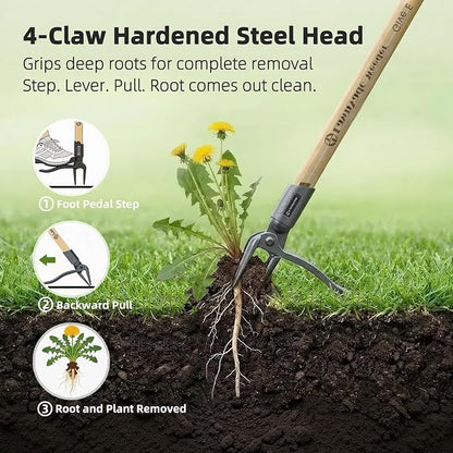 Stand Up Weed Puller Tool, Long Handle Weed Remover with Upgraded 4-Claw Steel Head, Manual Root Removal Tool for Lawn & Garden, No-Bend Weed Puller, Natural Bamboo Handle