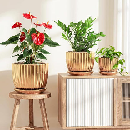 Ton Sin Gold Plant Pots,4.1+5.1+6.5 Inch Ceramic Succulent Planters Set of 3,Indoor Flower Pot with Drainage,Handmade Decorative Ceramic Orchid and Herb Pots(Gold)