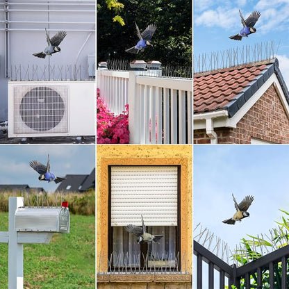 Moyofree Pre-Assembled Bird Spikes for Roofs and Windows, Cover 9.84Feet (3m), Pigeon Spikes Set for Deterring Crows, Seagulls and Small Birds, Stainless Steel Bird Deterrent Spikes for Outside