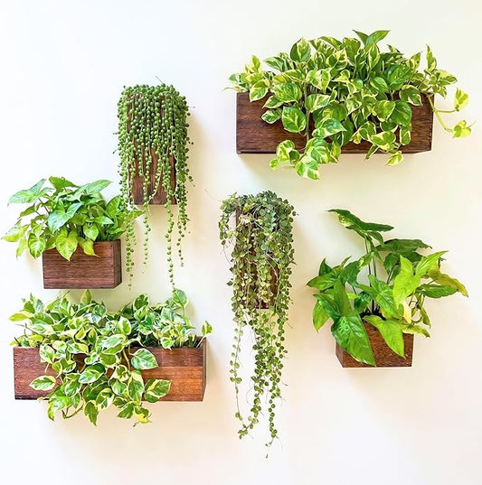 LaLaGreen Wood Planter Box for Plants (6 Pack) Wall Planters for Indoor | Wooden Box Indoor Plant Holder Vase for Dried Flowers, Modern Farmhouse Decor Living Room Bedroom Kitchen Office Home Garden