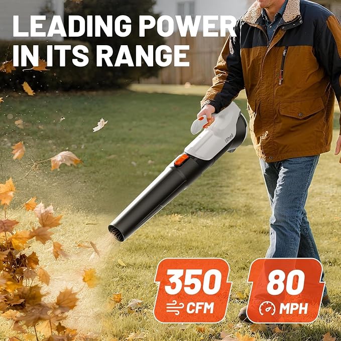 Litheli Cordless Leaf Blower with 2 Batteries (Works as Portable Power Bank), Ultra-Lightweight Electric Blower for Driveways, Patios & Decks, 2-Speed 350CFM for Dry Leaves, Dust & Car Drying