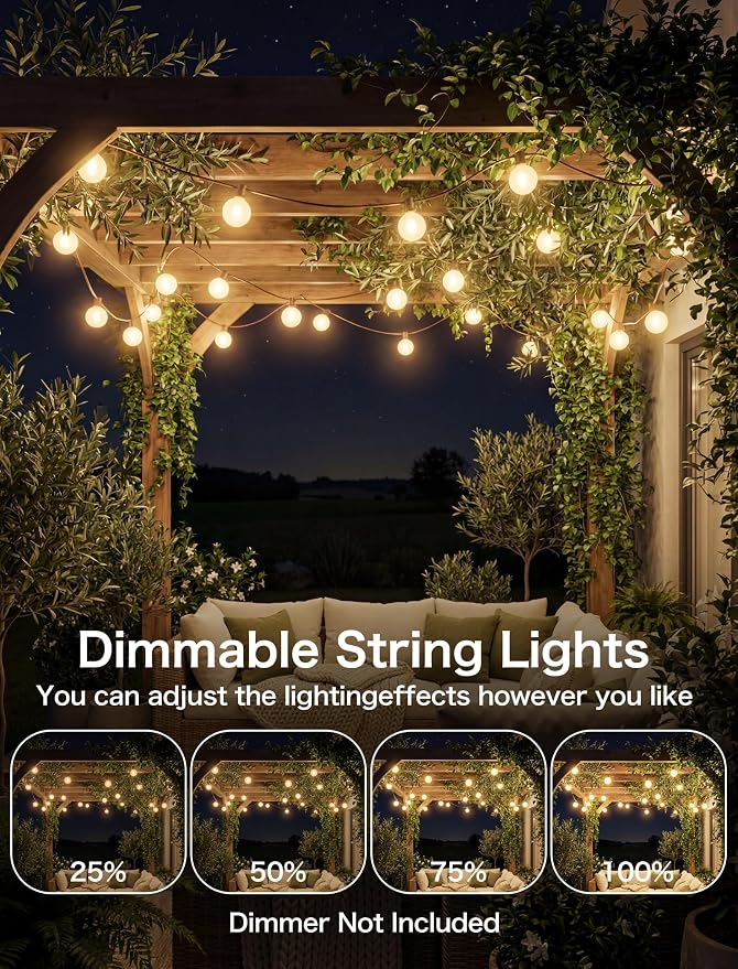 25FT Brown Outdoor String Lights, Shatterproof LED Globe String Lights with 25 G40 LED Frosted White Bulbs, Waterproof Connectable Hanging Light for Backyard Patio Porch Balcony Party Decor, E12 Base