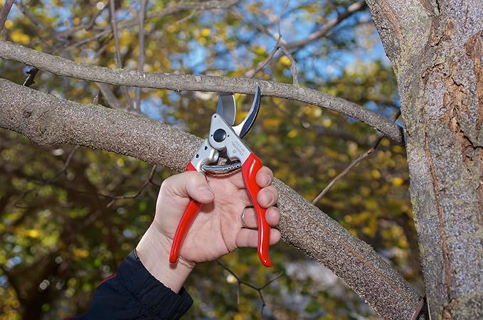 Corona BP 6360 Forged Steel Aluminum Handles Angled Bypass Hand Pruner - 1 inch Cut Capacity Stem and Branch Garden Shears, Red (Pack of 6)