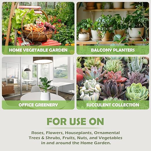 Neem Oil Spray for Plants with Peppermint Oil– Gentle Leaf Maintenance for Indoor and Outdoor Greenery, 16oz