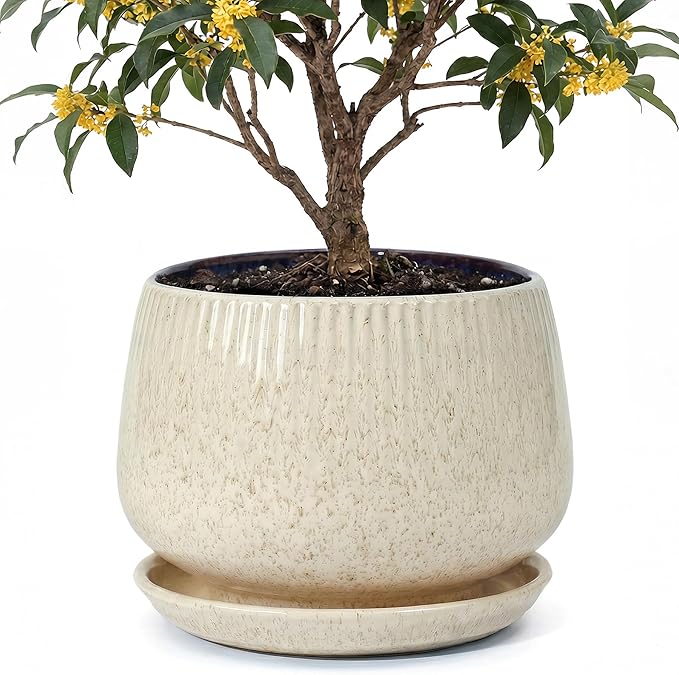 10.3 Inch Ceramic Planter with Saucer,Modern Garden Pots with Drainage Hole Mesh Net, for Indoor Outdoor Use (Silk White)