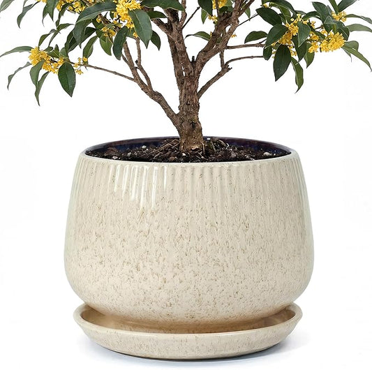 10.3 Inch Ceramic Planter with Saucer,Modern Garden Pots with Drainage Hole Mesh Net, for Indoor Outdoor Use (Silk White)