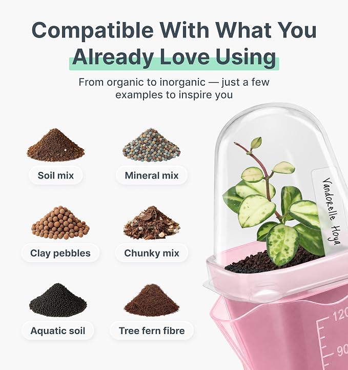 12 Pack 2" Small Pink Self Watering Pots with Humidity Dome for Indoor Plants,Clear Seed Starter Cup,Tissue Culture Acclimation Kit,Alocasia Corm Propagation,African Violet,Cutting,Seedling