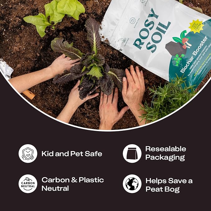 Rosy Soil Biochar Booster, Biochar Soil Amendment, 8 Quarts | Horticultural Charcoal, For Vegetable Gardens & Flowers, Outdoor & Indoor Plants, with Mycorrhizae, Worm Castings & Compost