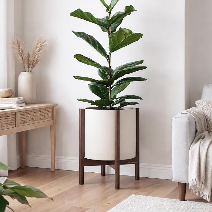 D'vine Dev Plastic Pot with Walnut Wood Stand, Oatmeal, 12 in, 55-C-O-4 | Mid-Century Inspired Design, Elevated Plant Display, Clean Lines, Sturdy Support, Modern Space-Saving Style