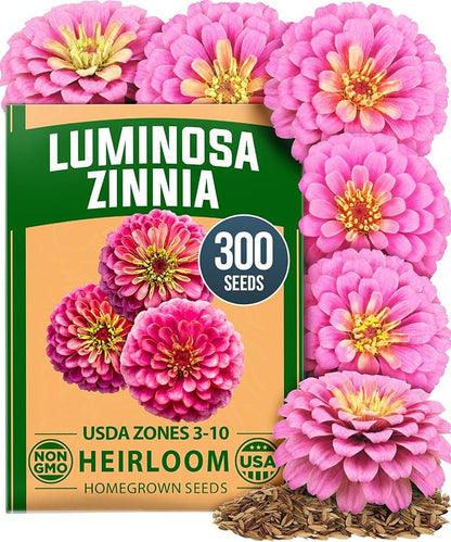 HOME GROWN Pink Zinnia Seeds – 300 Luminosa Zinnias 0.5g, Easy to Grow Annual Flower Seeds for Planting Outdoors for 2026, Fast Blooming, Heat Tolerant Herb Seed Garden Companion (Zinnia elegans)