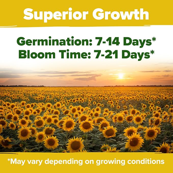 HOME GROWN Sunflower Seeds for Planting | 8 Varieties |1000+ Non-GMO Sun Flower Seeds Packets to Plant: Grow Dwarf Sunflowers, Mexican Sunflowers, Wild, Lemon Queen,Autumn Beauty,Sunspot, Velvet Queen