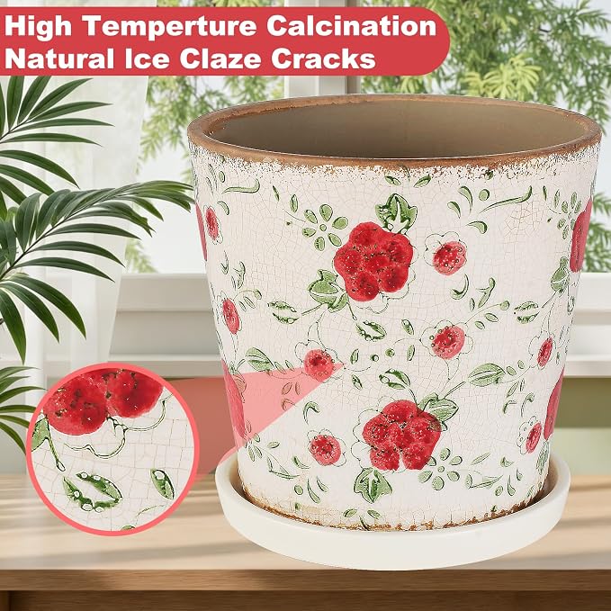 Ceramic Flower Pots For Indoor Plant, 5.5 Inch Small Ice Crack Plant Pots With Drainage Hole & Saucer, Decorative Vintage Planters For Succulent Herb Cactus Mint Basil, Garden Pot For Home Decor