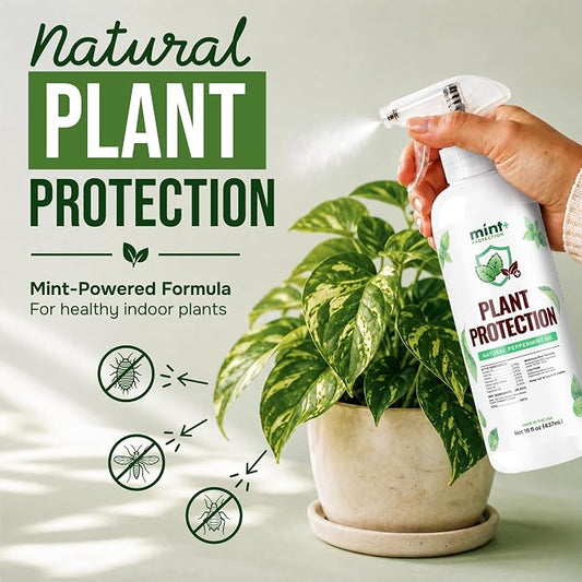Mint+ Plant Protection Spray (16oz) | Mint-Powered Formula | Helps Protect Plants | Indoor & Outdoor Plants | Easy Spray Application | Made in USA
