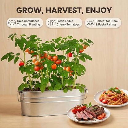 Tomato Grow Kit - All-in-One Indoor Vegetable Garden Starter Kit with Metal Planter, Complete Growing Set for Beginners, Kitchen Windowsill, Home Gardening & Plant Lovers Gift
