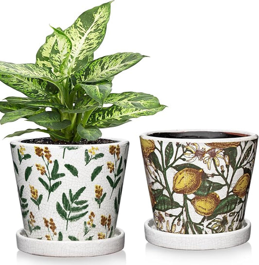 5.5 Inch Decorative Plant Pots, Round Ceramic Planters for Indoor Plants Pots with Drainage Hole Saucers, Lemon Green Leaves Ceramic Flower Pots Retro Planter Pot for Succulents Cactus Outdoor Garden