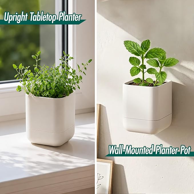 Phoenix Vine 3.5 Inch Wall Mounted Self-Watering Planter Pot for Indoor Houseplants and Herbs | Hanging Planter for Window Sills, Bathroom Walls, Home & Office Décor, Oatmeal, Set of 1, 01-A-G-1