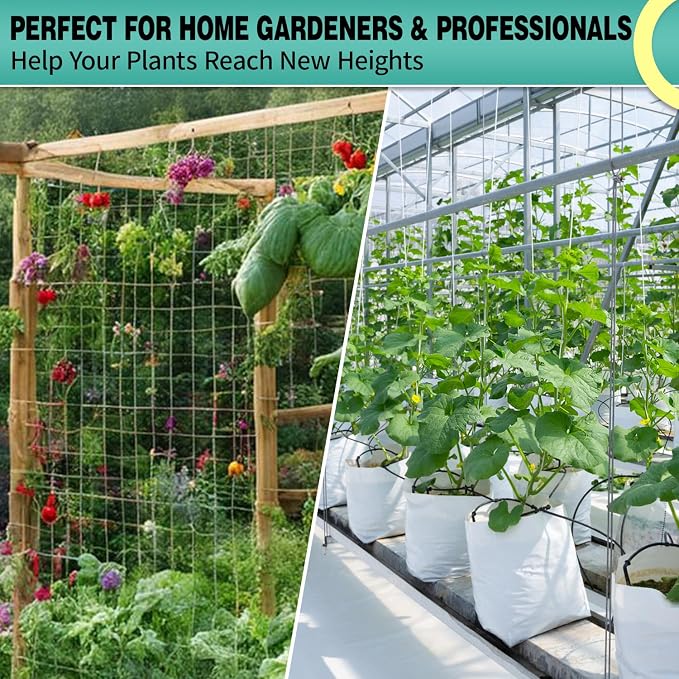 7X 30 Ft Nylon Trellis Netting, 6×6 Heavy Duty Trellis Mesh Garden Netting for Climbing Plants, Use for Tomatoes, Cucumbers, Peas, Grape Racks