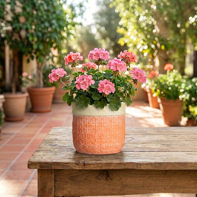 Ceramic Pots for Plants, 6 Inch Planter, Round Plant Pot, Orange | Boho Plant Pot for Indoor Plants, Decorative Flower Pots with Drainage Hole, Bedroom Decor, Housewarming Gifts New Home