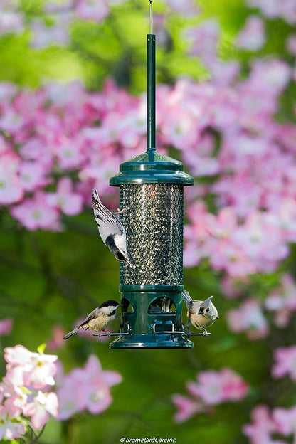 Squirrel Buster Standard Squirrel-proof Bird Feeder w/4 Metal Perches, 1.3-pound Seed Capacity, garden green | 1.3 Lb Capacity, 4 Metal Perches, Weight-Adjustable Closing, Chew-Proof, Uv-Resistant, Easy-Clean Design