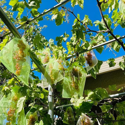 30 Pcs 7.8''×11.8'' Drawstring Fruit Protection Netting Bags, Reusable Garden Netting Bags