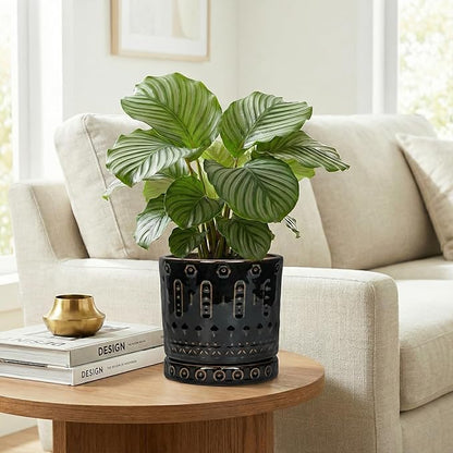 Eightpot 6 Inch Plant Pot, Ceramic Pots for Plants with Drainage Hole and Saucer, Round Planter for Indoor Outdoor Plants, Modern Decorative Flower Pots, Bedroom Decor, Gifts for Plant Lovers, Black