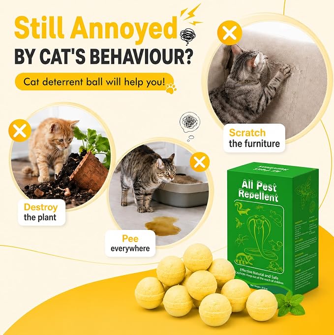 Cat and Dog Deterrent Outdoor, 36 Pcs Cat Repellent Outdoor, Natural Peppermint Oil Cat Deterrent Outdoor & Indoor, Keep Cats Out of Yard Permanently, Keep Cats Off Lawn, Garden, Furniture, Flower