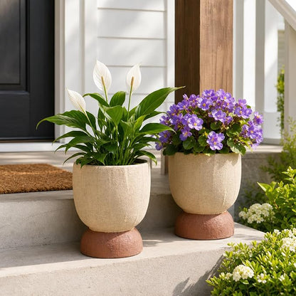 DREAMLOOM 2Pcs Flower Pot with Drainage Holes, 6.4Inch Terracotta & Coarse-Grained Planters for Succulents, Cactus Aloe, Herbs, Orchid, Vintage Color