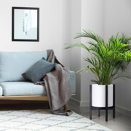 D'vine Dev Plastic Pot with Ebony Wood Stand, White, 10 in, 55-C-N-1 | Mid-Century Inspired Design, Elevated Plant Display, Clean Lines, Sturdy Support, Modern Space-Saving Style