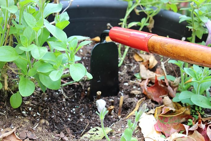15 Inch Forged Weeding Hoe