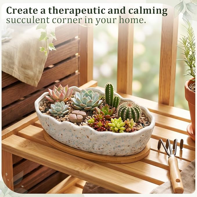 Succulent Planter Pot with Drainage Holes Large Ceramic Glazed Planter with Bamboo Wooden Tray and mesh Pads Shallow Bonsai Pot for Indoor Cactus Flower Plant(Wave-Shaped,Speckle)