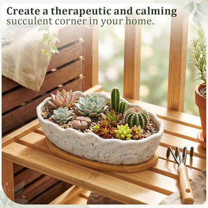 Succulent Planter Pot with Drainage Holes Large Ceramic Glazed Planter with Bamboo Wooden Tray and mesh Pads Shallow Bonsai Pot for Indoor Cactus Flower Plant(Wave-Shaped,Speckle)