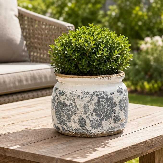 Dosayes Large Ceramic Pot for Planters, Ice Crack Glazed Flower Pot with Drainage Holes,5.91inch Vintage Planters for Indoor and Outdoor (Gray)
